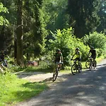 Nid Dans La Foret *