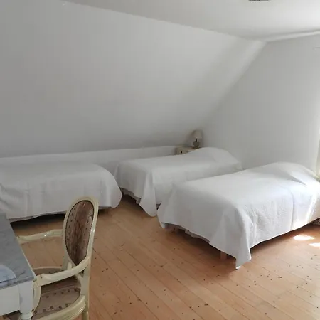 Nid Dans La Foret * Saint-Jean-aux-Bois (Oise)