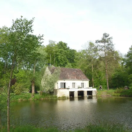 Nid Dans La Foret * Saint-Jean-aux-Bois (Oise)