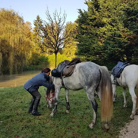 Nid Dans La Foret *