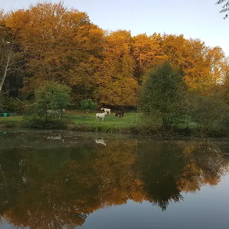 Дом отдыха Nid Dans La Foret