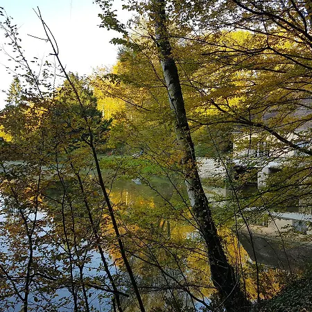Nid Dans La Foret Saint-Jean-aux-Bois (Oise)
