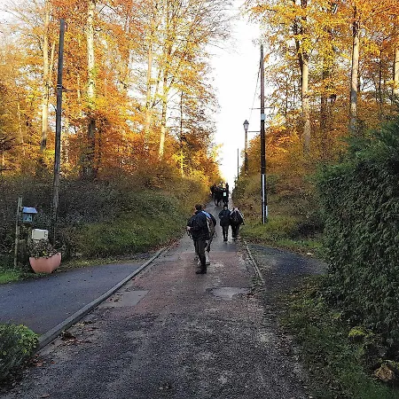 Nid Dans La Foret Casa vacanze Saint-Jean-aux-Bois (Oise)