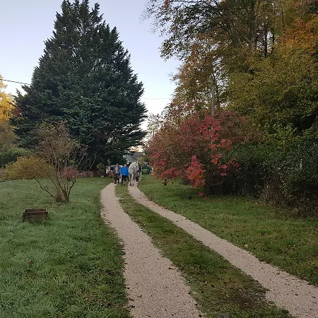 Nid Dans La Foret * Saint-Jean-aux-Bois (Oise)