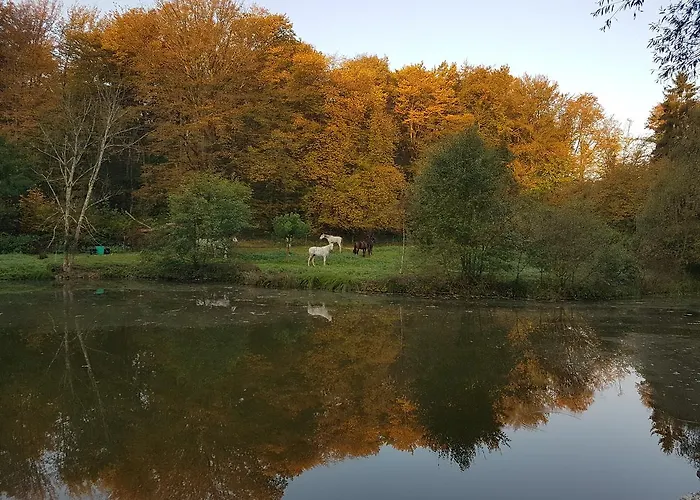 Дом отдыха Nid Dans La Foret