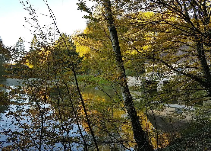 Nid Dans La Foret Saint-Jean-aux-Bois (Oise)