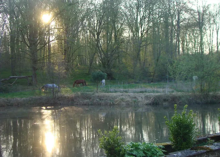 Nid Dans La Foret Дом отдыха *