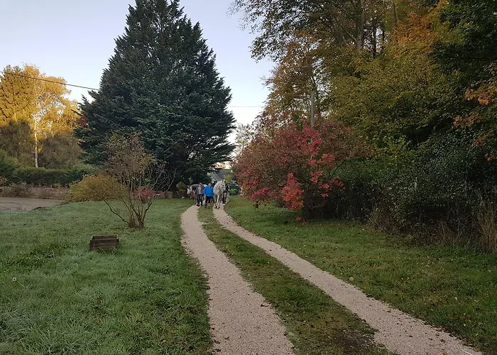 Nid Dans La Foret * Saint-Jean-aux-Bois (Oise)